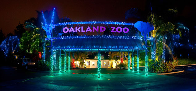 Oakland ZooLights