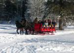sleigh