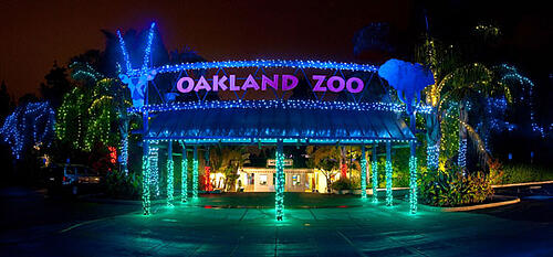 Oakland ZooLights