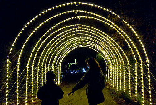 Oakland ZooLights