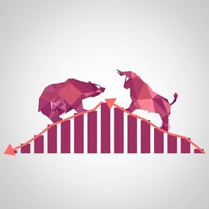 Bull_Run_Bear_Run_Stock_Market_BizX_Blog