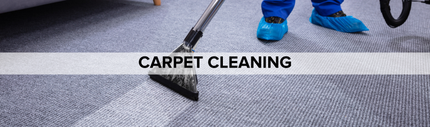 Carpet Cleaning