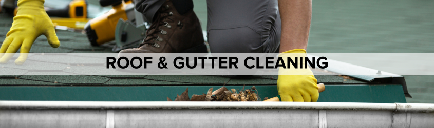 Roof & Gutter Cleaning