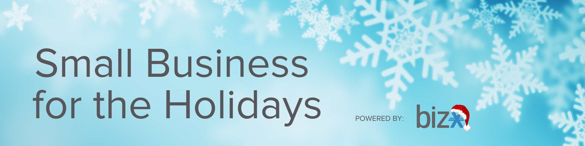 Small Business for the Holidays (2000 × 500 px)
