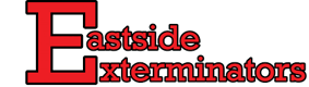 download-1.png